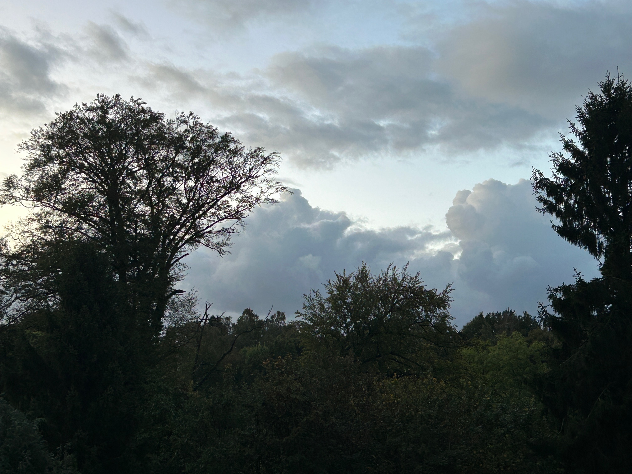 am 11.10. um 7:30 in s�dlicher Richtung