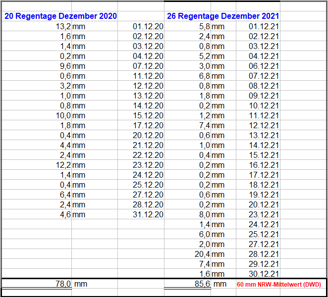 Regen_Dezember_2021