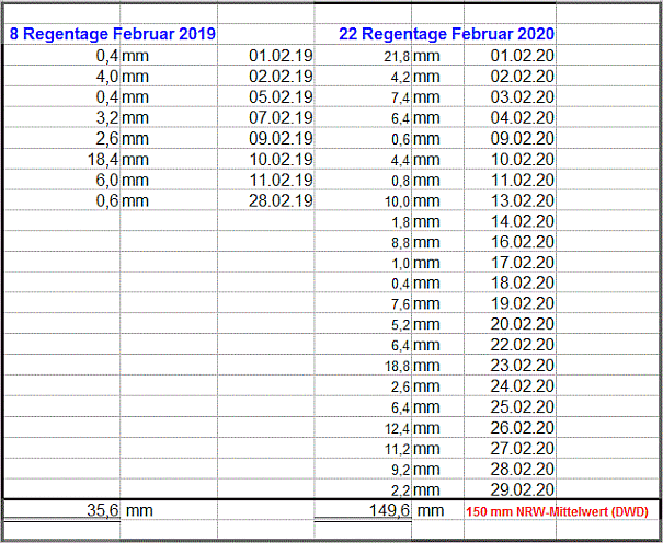 Regen Feb 2020