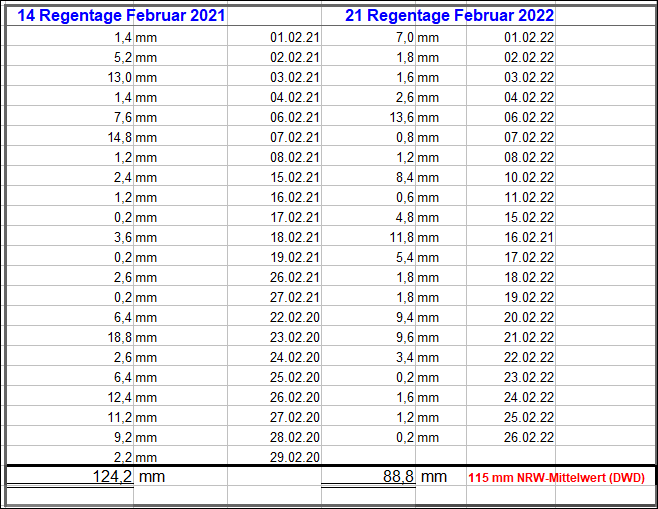 Regen_Februar_2022