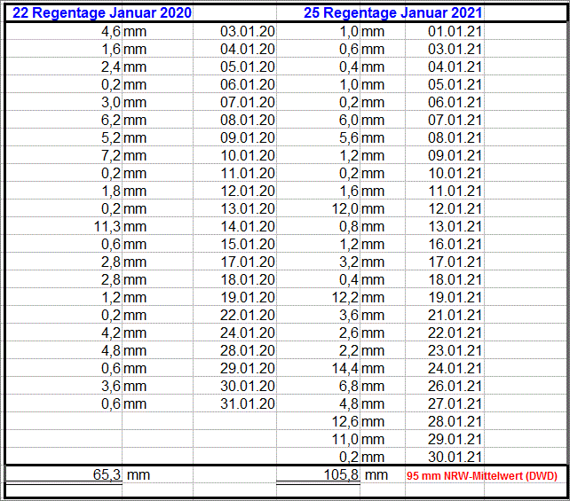 Regen_Jan_2020