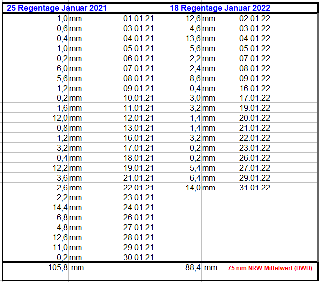 Regen_Januar_2022