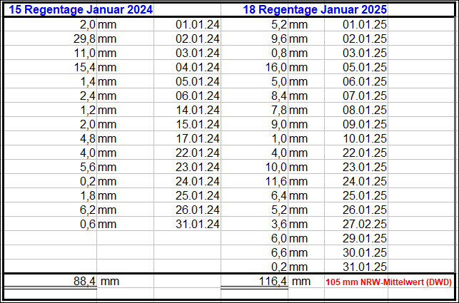 Regenmengen_Januar_2025
