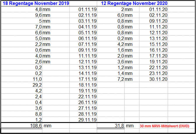 Regen_Nov_2020