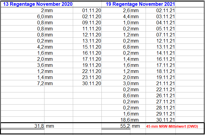 Regen_November_2021