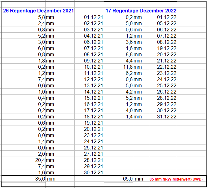 Regen_Dezember_2022